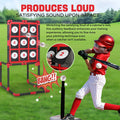 Baseball Strike Zone Target with Pockets