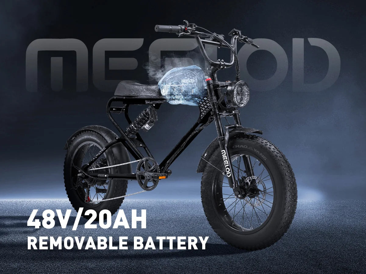 MEELOD DK300PLUS adult E-bike 1200W 48V 12.5Ah battery commute Electric Bike,20-inch Fat Tire E-Mountain bike