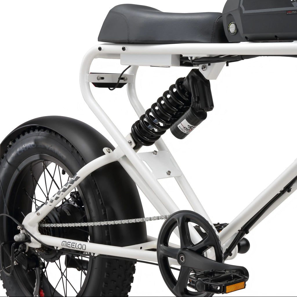 MEELOD DK300PLUS adult E-bike 1200W 48V 12.5Ah battery commute Electric Bike,20-inch Fat Tire E-Mountain bike