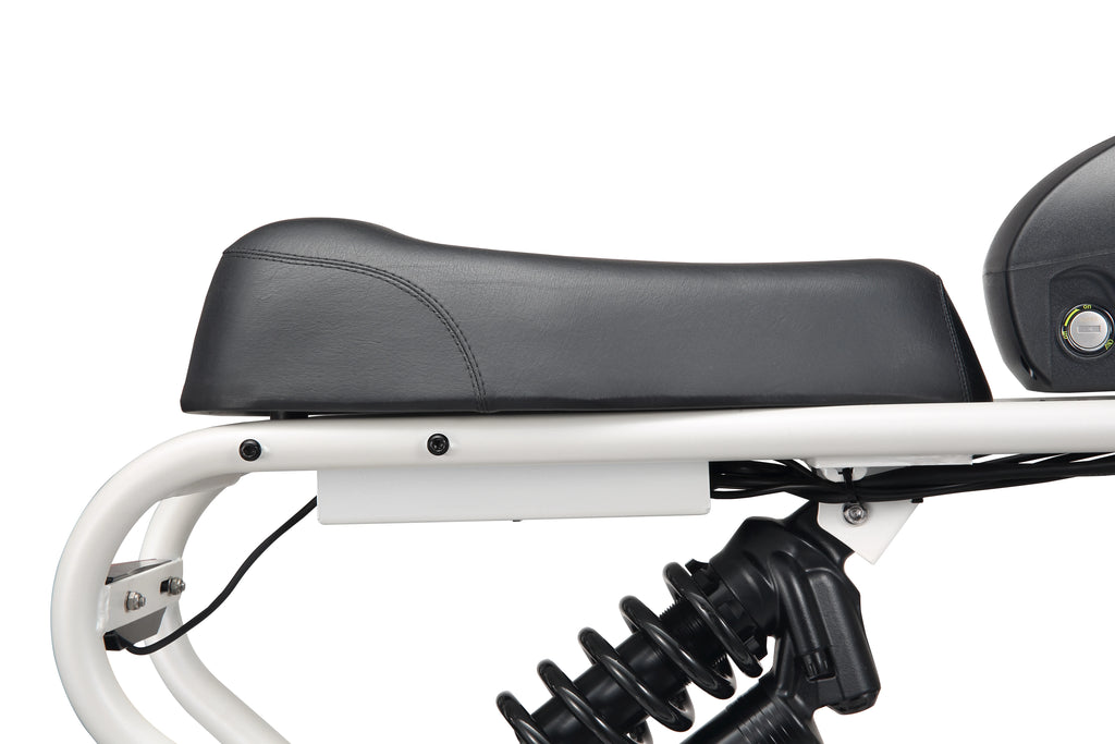 MEELOD DK300PLUS adult E-bike 1200W 48V 12.5Ah battery commute Electric Bike,20-inch Fat Tire E-Mountain bike