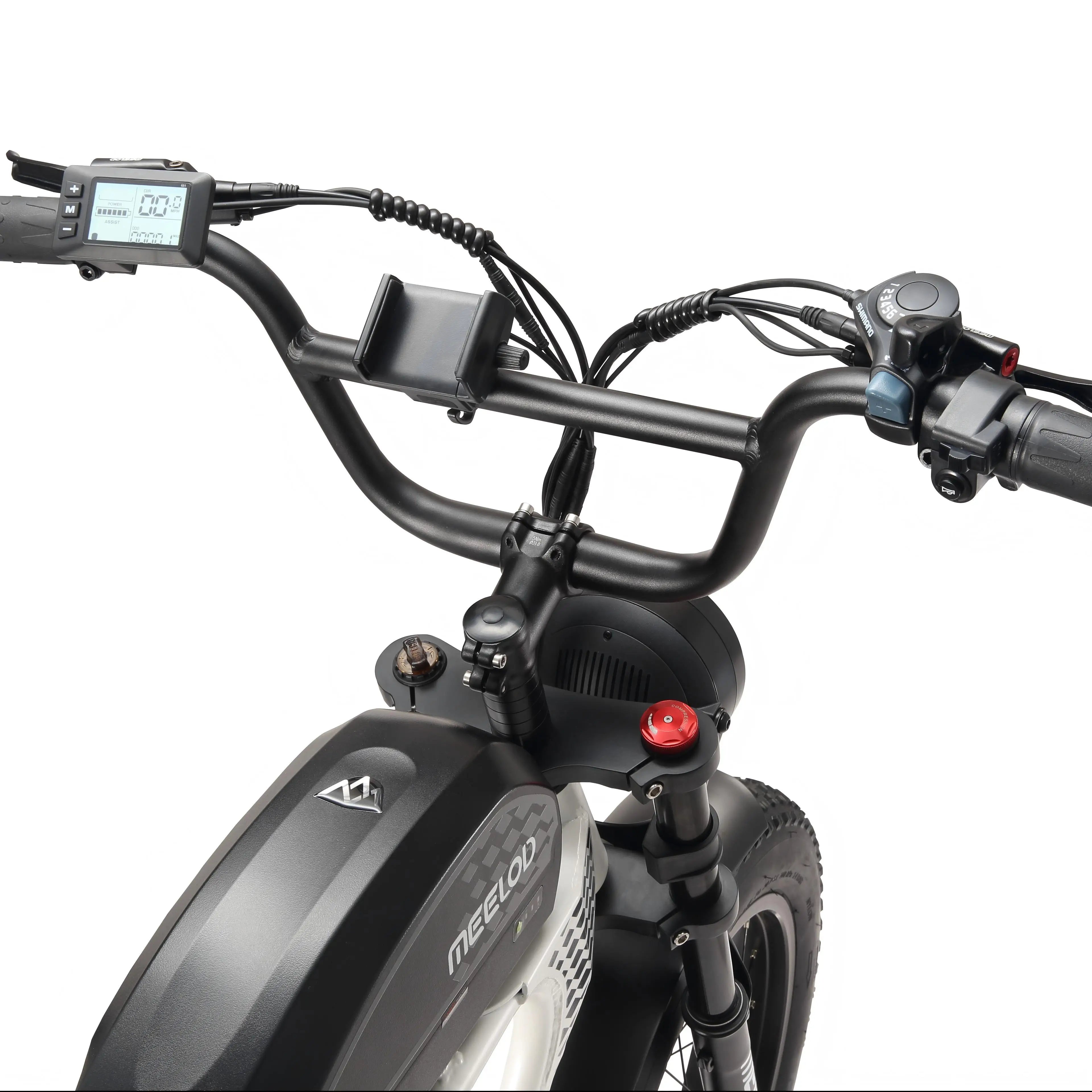 MEELOD DK300PLUS adult E-bike 1200W 48V 12.5Ah battery commute Electric Bike,20-inch Fat Tire E-Mountain bike