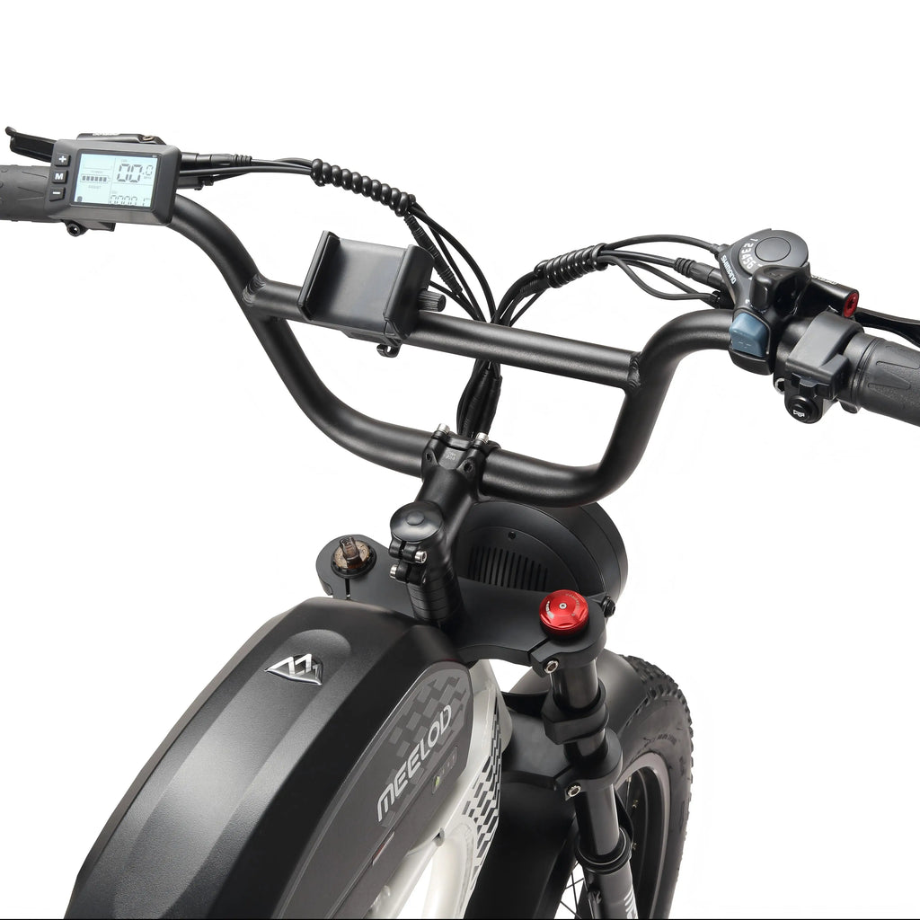 MEELOD DK300PLUS adult E-bike 1200W 48V 12.5Ah battery commute Electric Bike,20-inch Fat Tire E-Mountain bike
