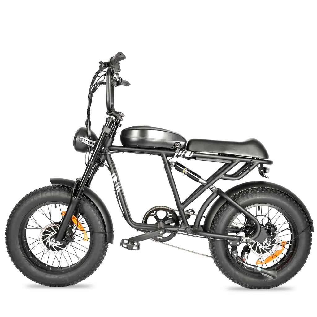 BAOLUJIE DP-2008 Electric bicycle 2000W Motor 48V2 0Ah battery City Commuter Electric Bike 20inch Tire terrain E-bike
