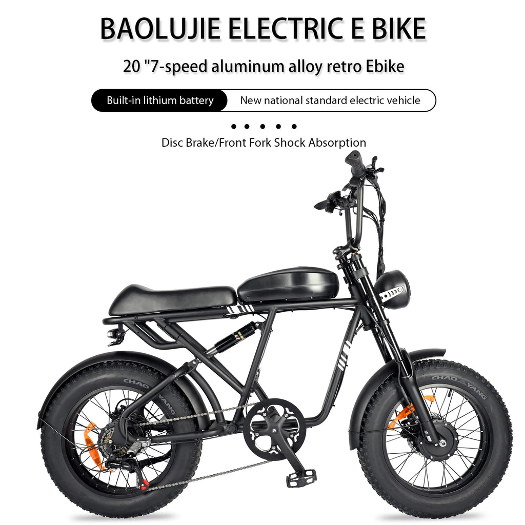 BAOLUJIE DP-2008 Electric bicycle 2000W Motor 48V2 0Ah battery City Commuter Electric Bike 20inch Tire terrain E-bike