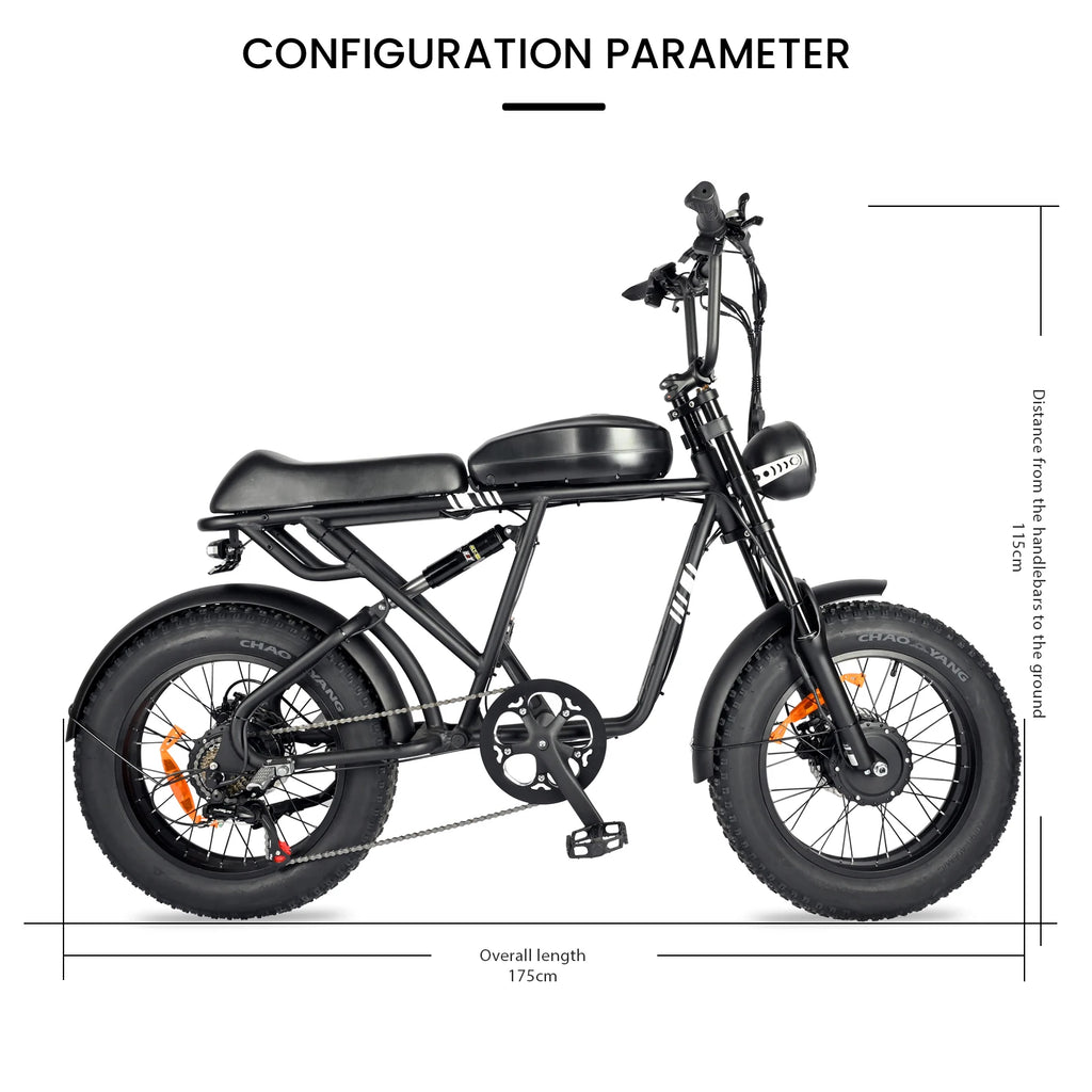BAOLUJIE DP-2008 Electric bicycle 2000W Motor 48V2 0Ah battery City Commuter Electric Bike 20inch Tire terrain E-bike