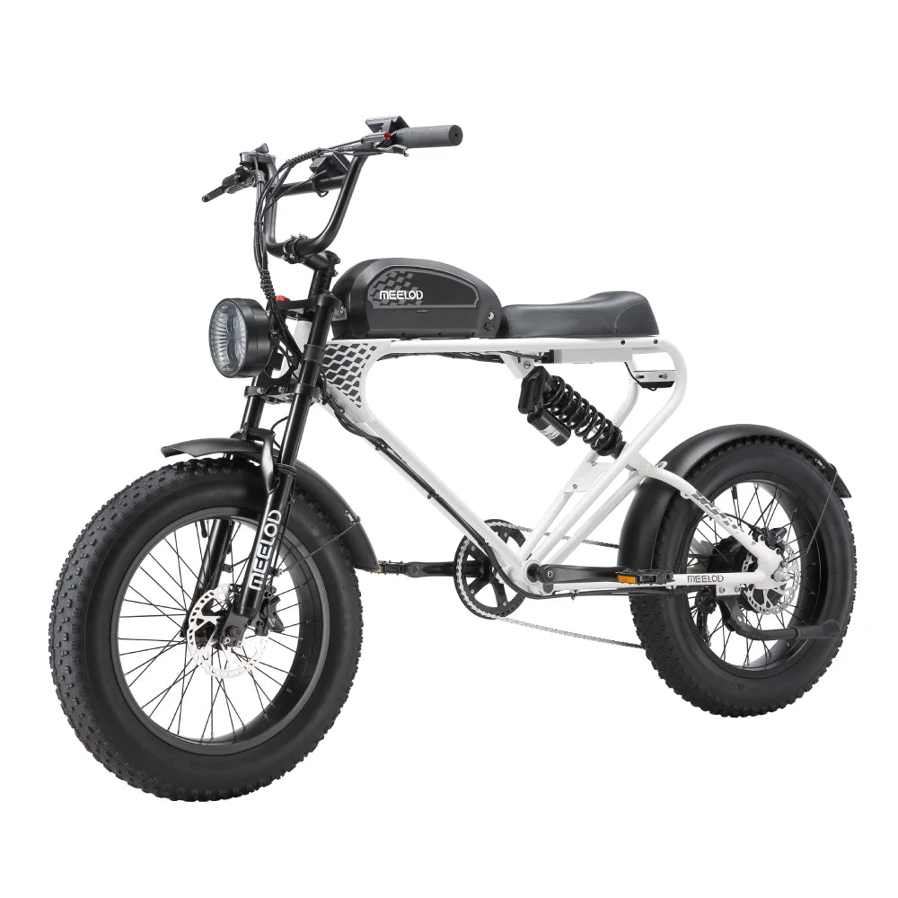 MEELOD DK300PLUS adult E-bike 1200W 48V 12.5Ah battery commute Electric Bike,20-inch Fat Tire E-Mountain bike