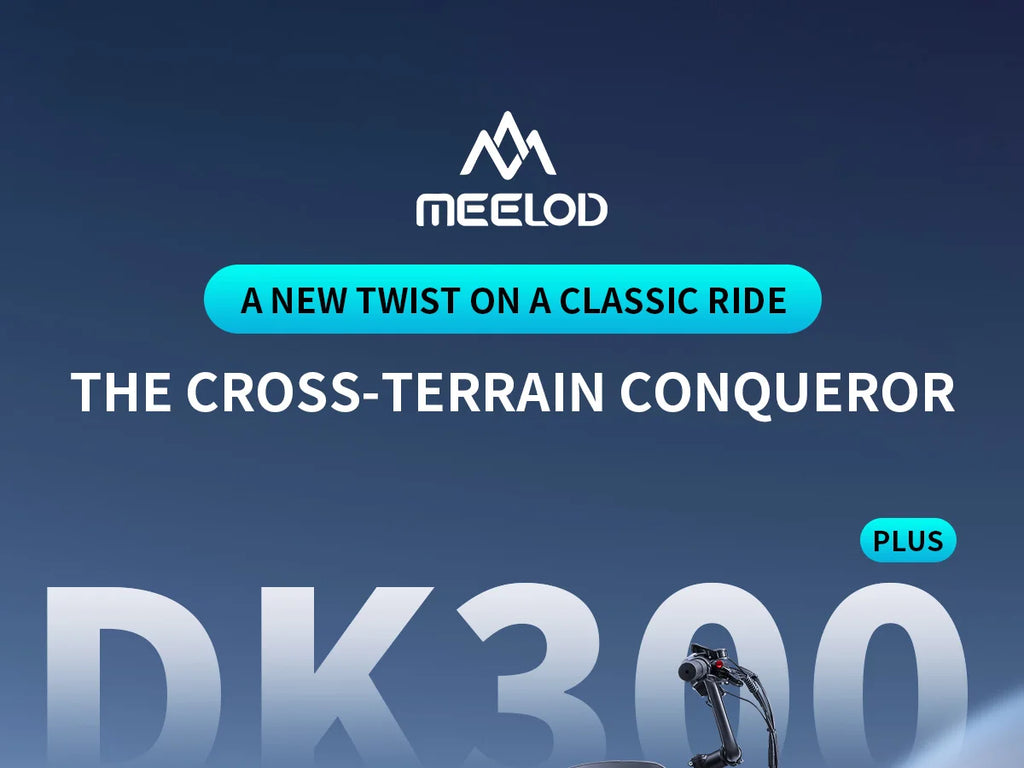 MEELOD DK300PLUS adult E-bike 1200W 48V 12.5Ah battery commute Electric Bike,20-inch Fat Tire E-Mountain bike
