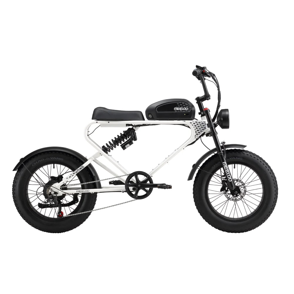 MEELOD DK300PLUS adult E-bike 1200W 48V 12.5Ah battery commute Electric Bike,20-inch Fat Tire E-Mountain bike