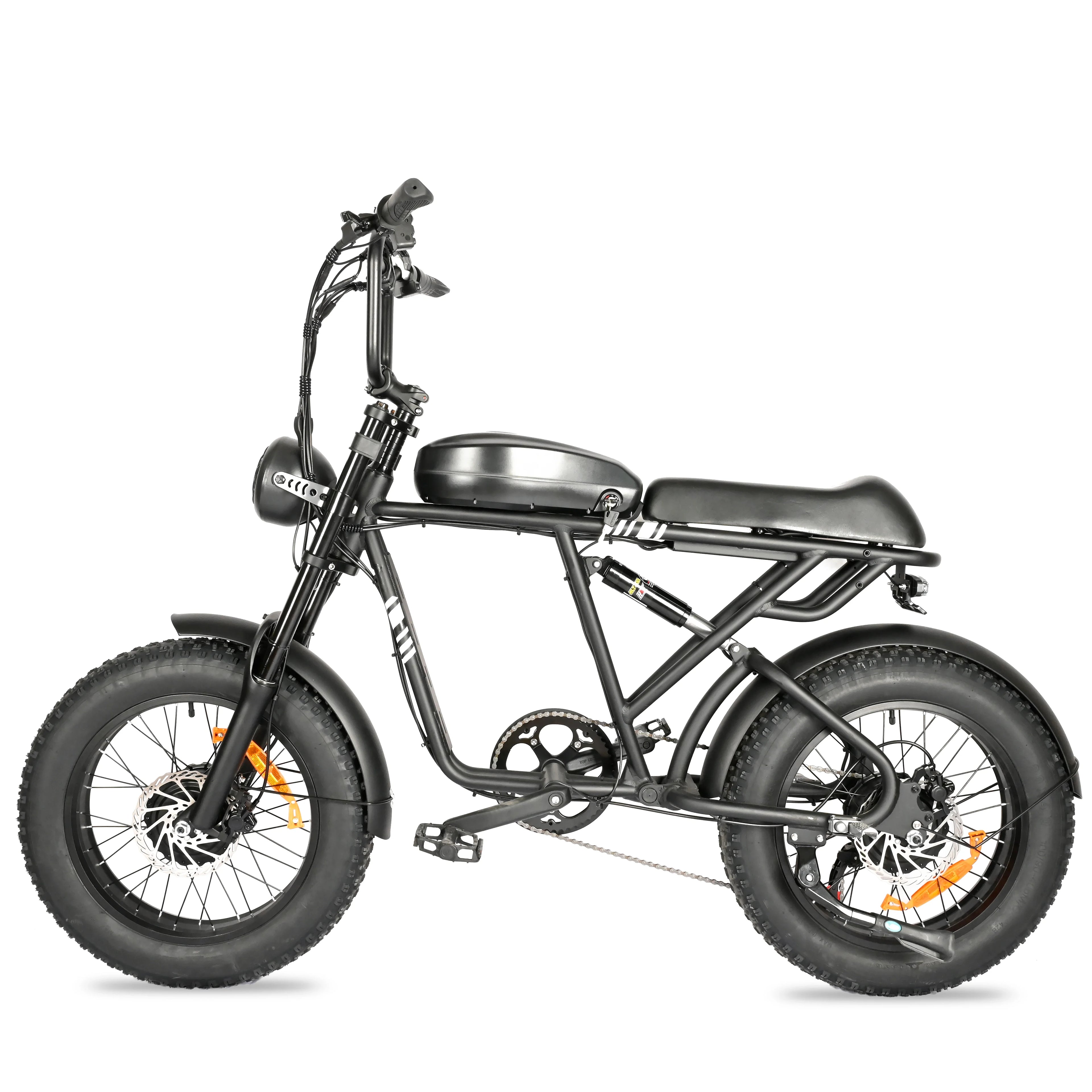 BAOLUJIE DP-2008 Electric bicycle 2000W Motor 48V2 0Ah battery City Commuter Electric Bike 20inch Tire terrain E-bike