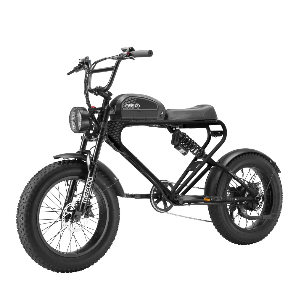 MEELOD DK300PLUS adult E-bike 1200W 48V 12.5Ah battery commute Electric Bike,20-inch Fat Tire E-Mountain bike