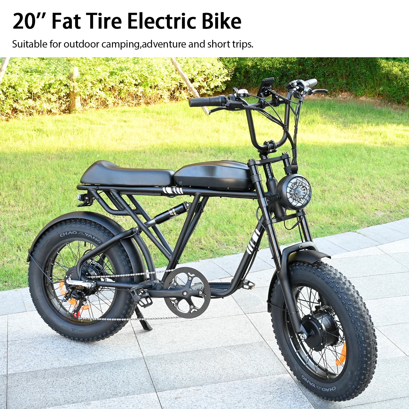 BAOLUJIE DP-2008 Electric bicycle 2000W Motor 48V2 0Ah battery City Commuter Electric Bike 20inch Tire terrain E-bike