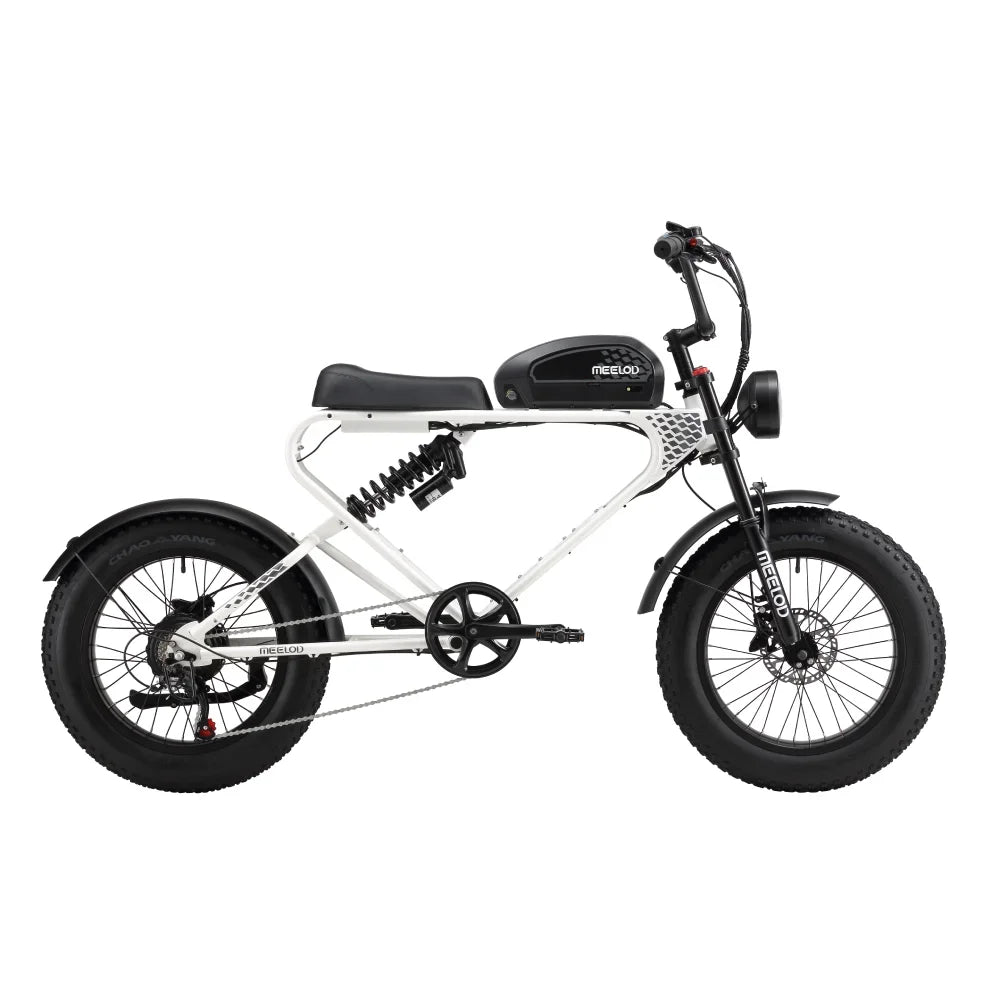 MEELOD DK300PLUS adult E-bike 1200W 48V 12.5Ah battery commute Electric Bike,20-inch Fat Tire E-Mountain bike