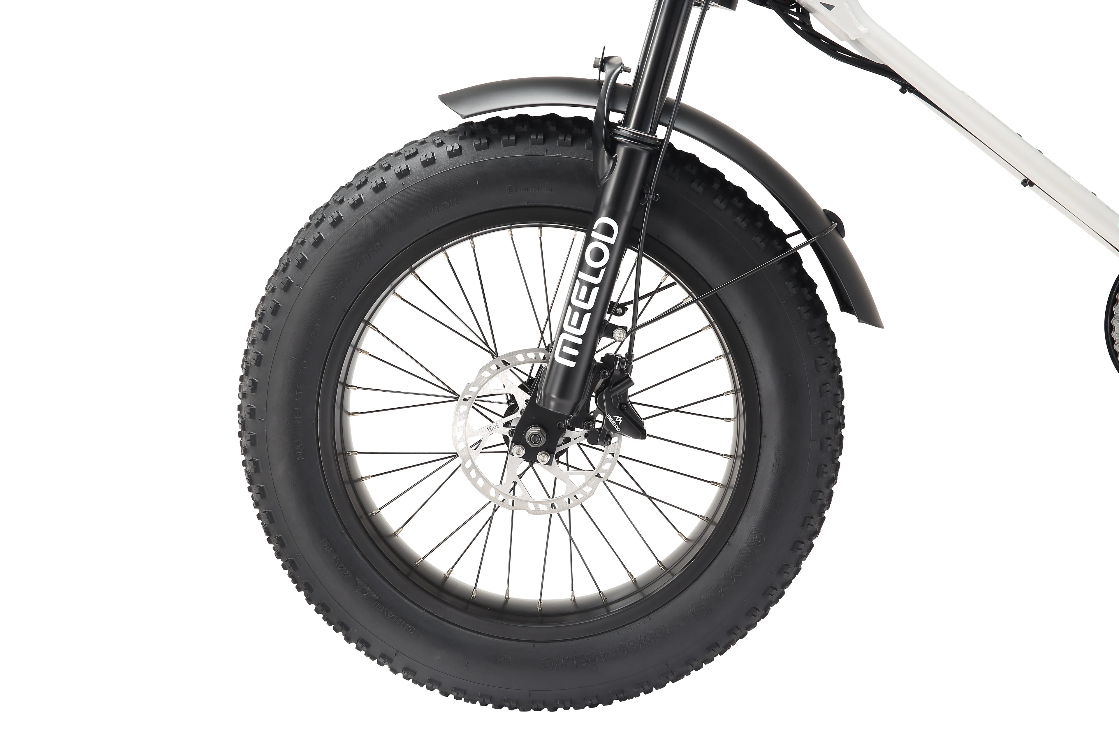 MEELOD DK300PLUS adult E-bike 1200W 48V 12.5Ah battery commute Electric Bike,20-inch Fat Tire E-Mountain bike