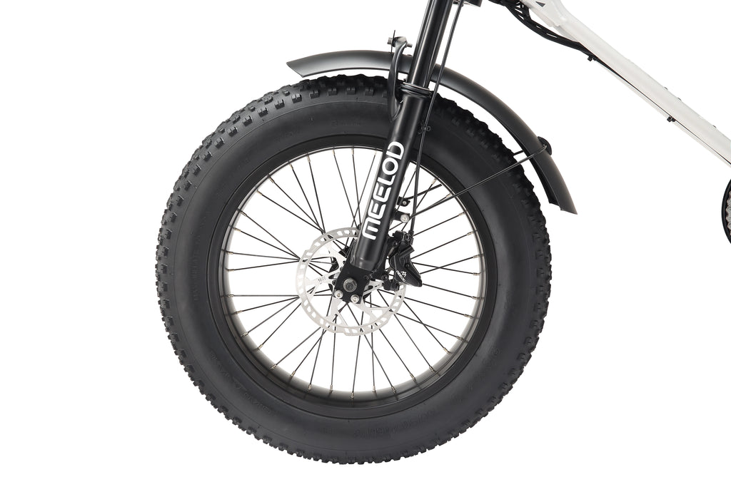 MEELOD DK300PLUS adult E-bike 1200W 48V 12.5Ah battery commute Electric Bike,20-inch Fat Tire E-Mountain bike