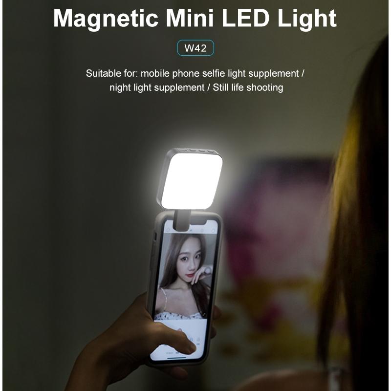 NNEIDS Portable Rechargeable Selfie Light For Laptops And Phones