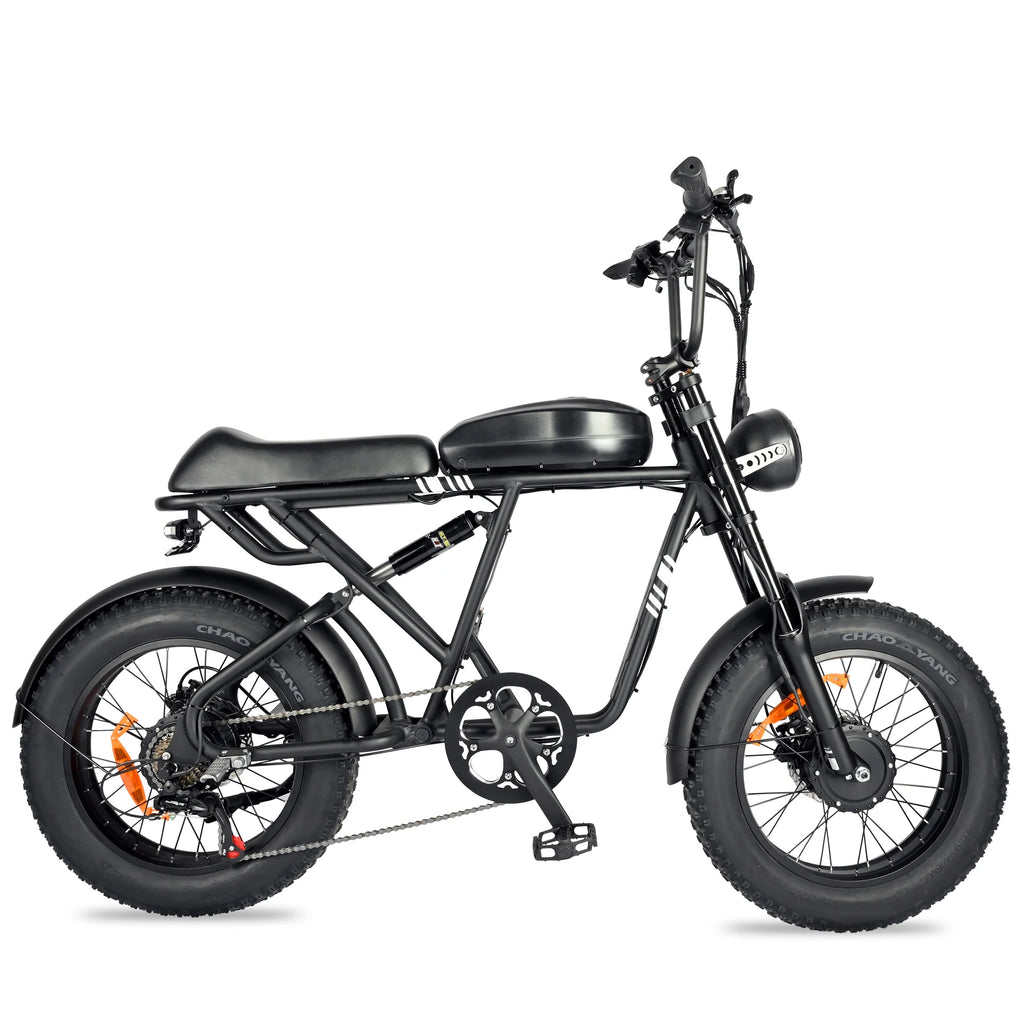 BAOLUJIE DP-2008 Electric bicycle 2000W Motor 48V2 0Ah battery City Commuter Electric Bike 20inch Tire terrain E-bike
