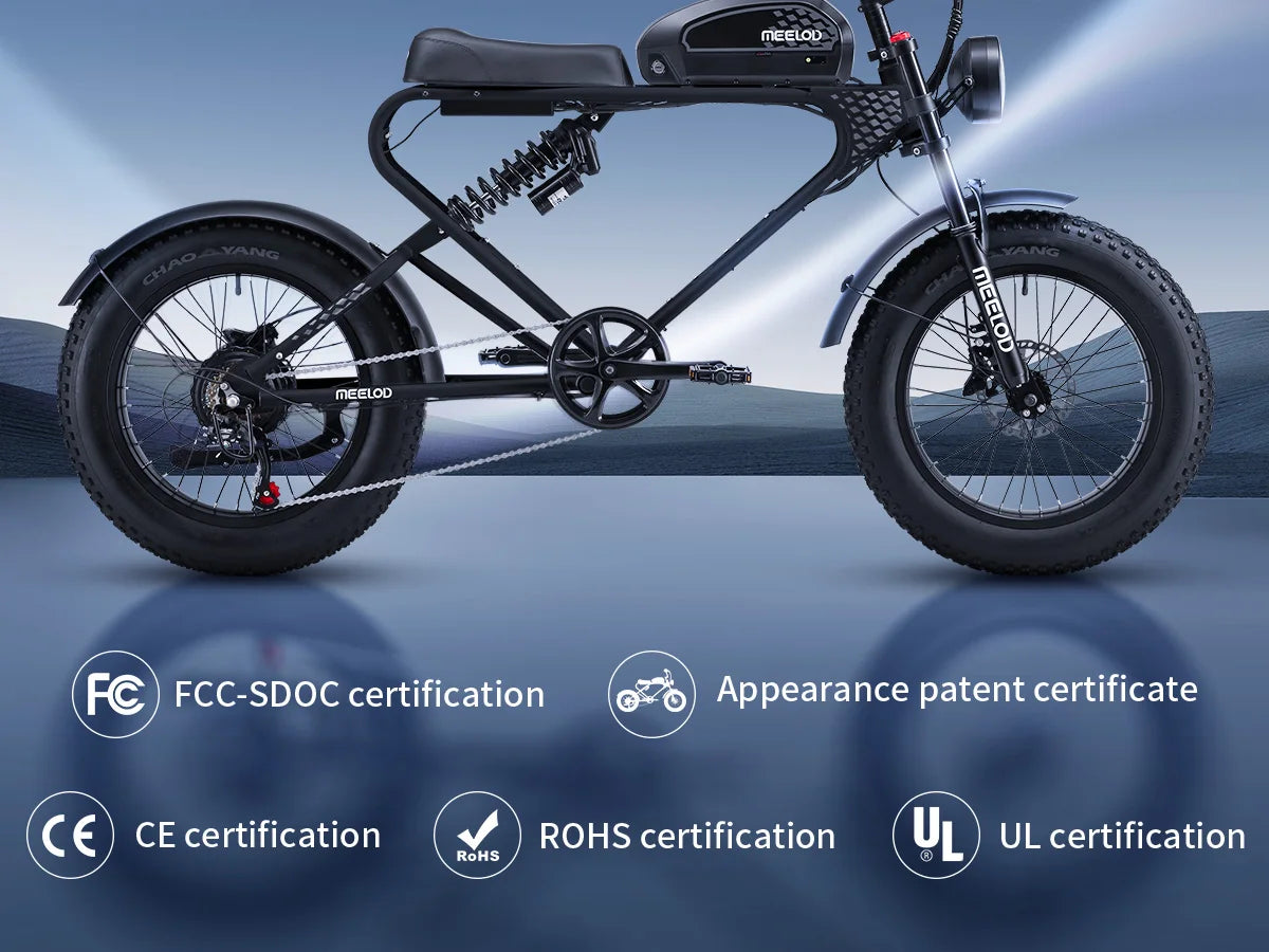 MEELOD DK300PLUS adult E-bike 1200W 48V 12.5Ah battery commute Electric Bike,20-inch Fat Tire E-Mountain bike