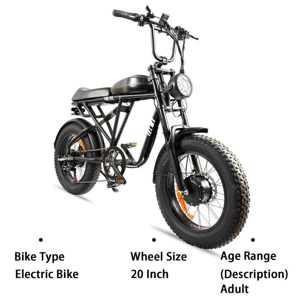 BAOLUJIE DP-2008 Electric bicycle 2000W Motor 48V2 0Ah battery City Commuter Electric Bike 20inch Tire terrain E-bike