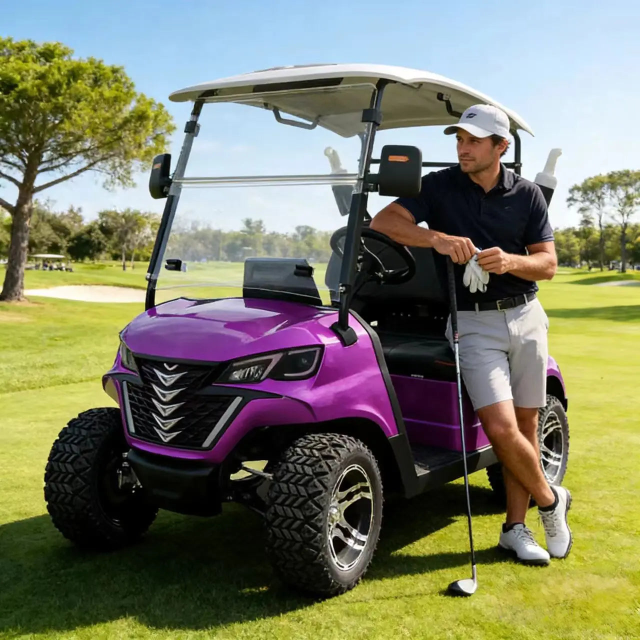 Factory Price New Model Design 48V/72v Lithium Battery Sightseeing Off-Road 4000W/5000W/7000W 2 4 6 8 Seater Electric Golf Cart