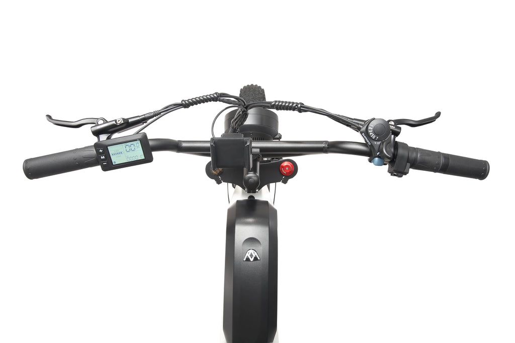MEELOD DK300PLUS adult E-bike 1200W 48V 12.5Ah battery commute Electric Bike,20-inch Fat Tire E-Mountain bike