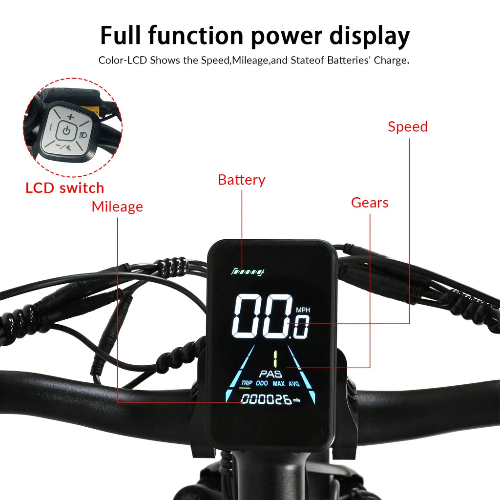 BAOLUJIE DP-2008 Electric bicycle 2000W Motor 48V2 0Ah battery City Commuter Electric Bike 20inch Tire terrain E-bike