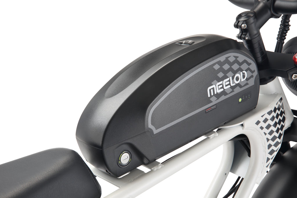 MEELOD DK300PLUS adult E-bike 1200W 48V 12.5Ah battery commute Electric Bike,20-inch Fat Tire E-Mountain bike
