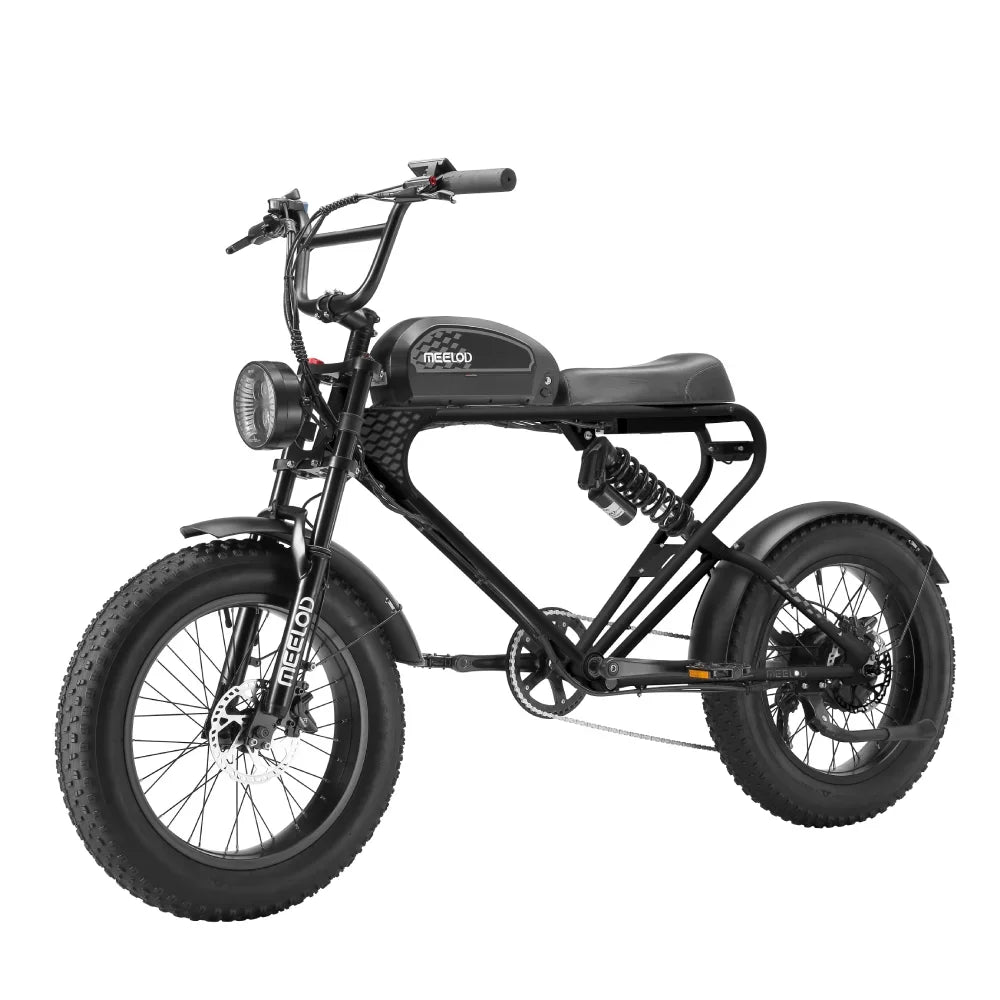 MEELOD DK300PLUS adult E-bike 1200W 48V 12.5Ah battery commute Electric Bike,20-inch Fat Tire E-Mountain bike
