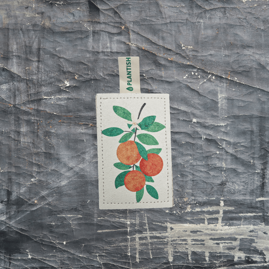 Orange - NEW Eco Sponge