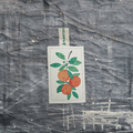 Orange - NEW Eco Sponge